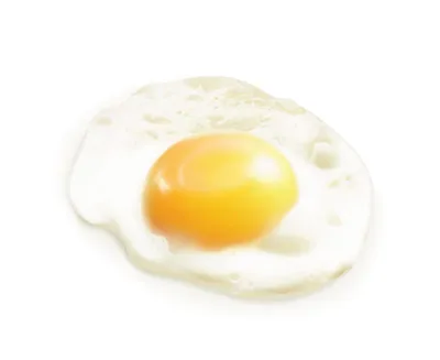 Fried Egg